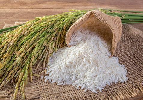 India Shorbati (Sharbati) Rice