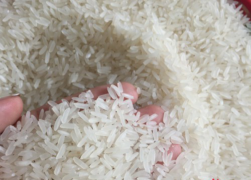 Vietnam Fragrant rice DT8