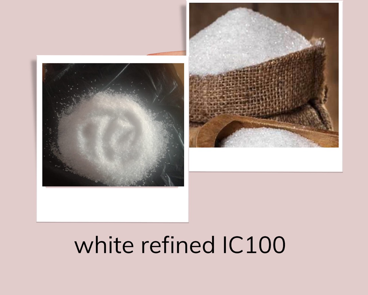 White refined sugar IC100