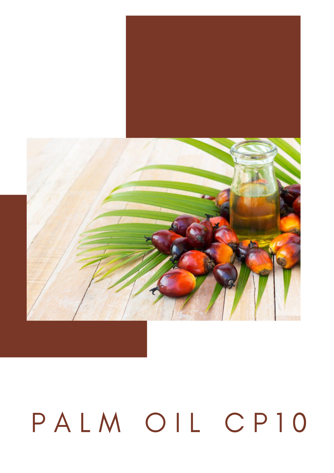 Palm oil CP10