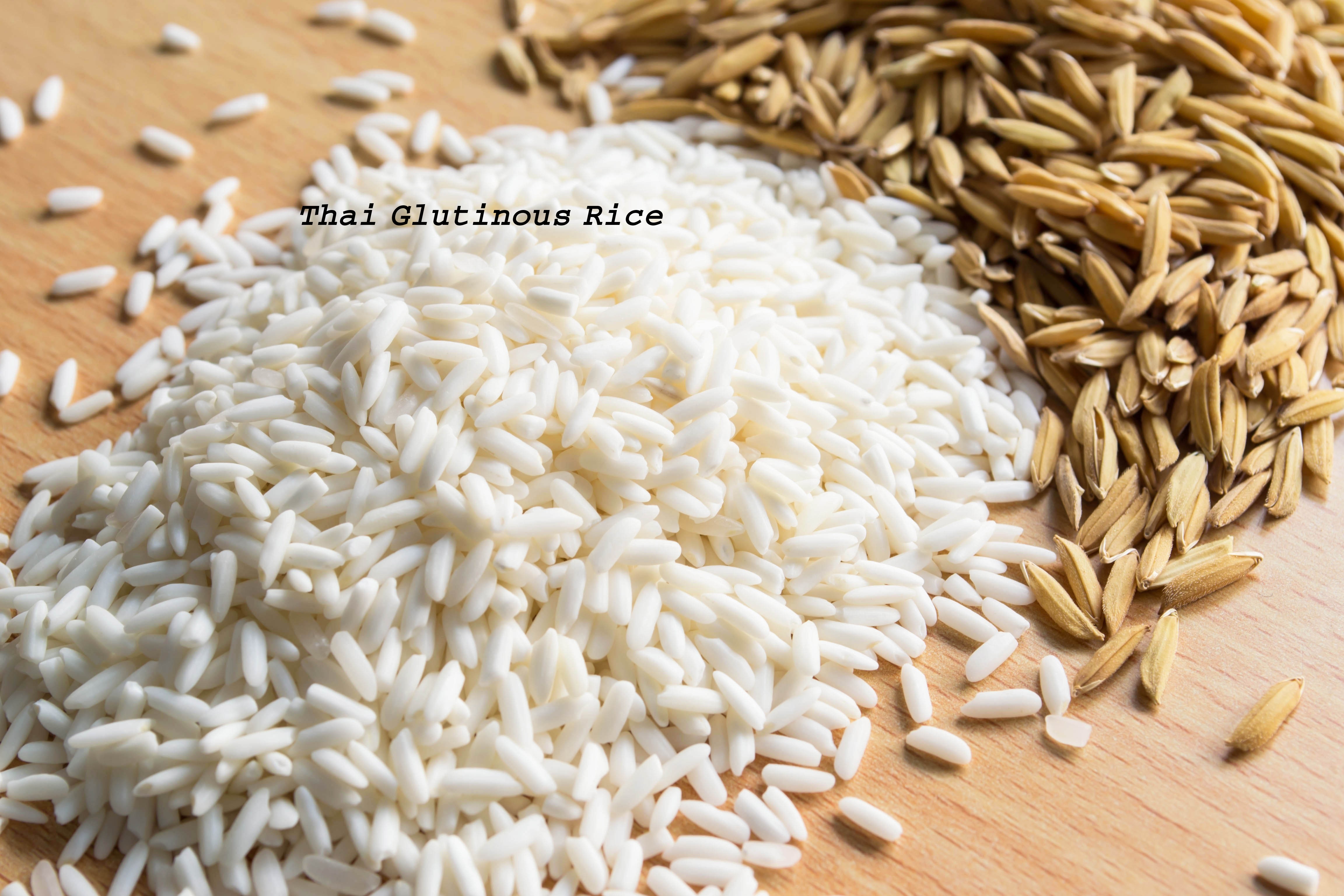 Thai White Glutinous Rice 