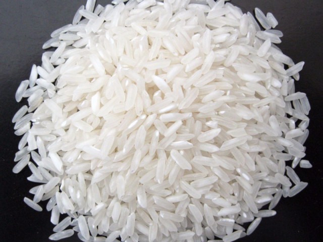 Vietnam Long grain White rice 504